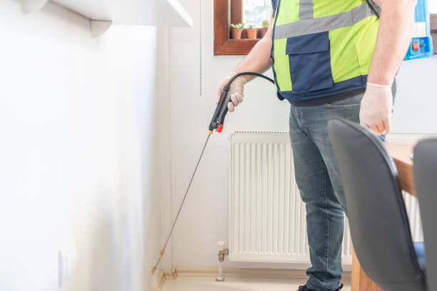 Best Best Pest Control Companies  in Port St Joe, FL