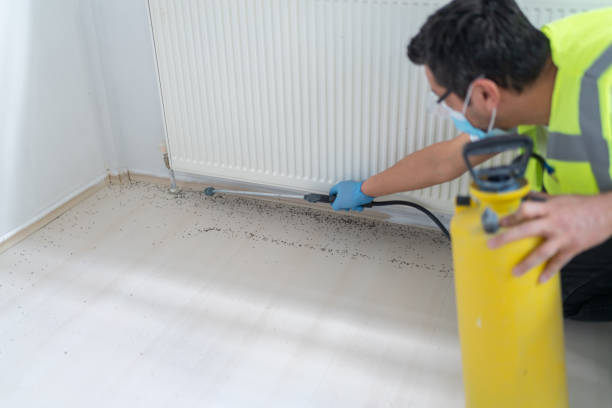 Trusted Port St Joe, FL Pest Control Experts