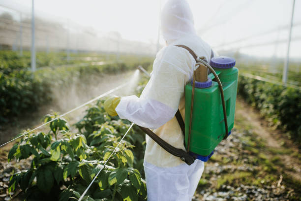 Best Residential Pest Control  in Port St Joe, FL